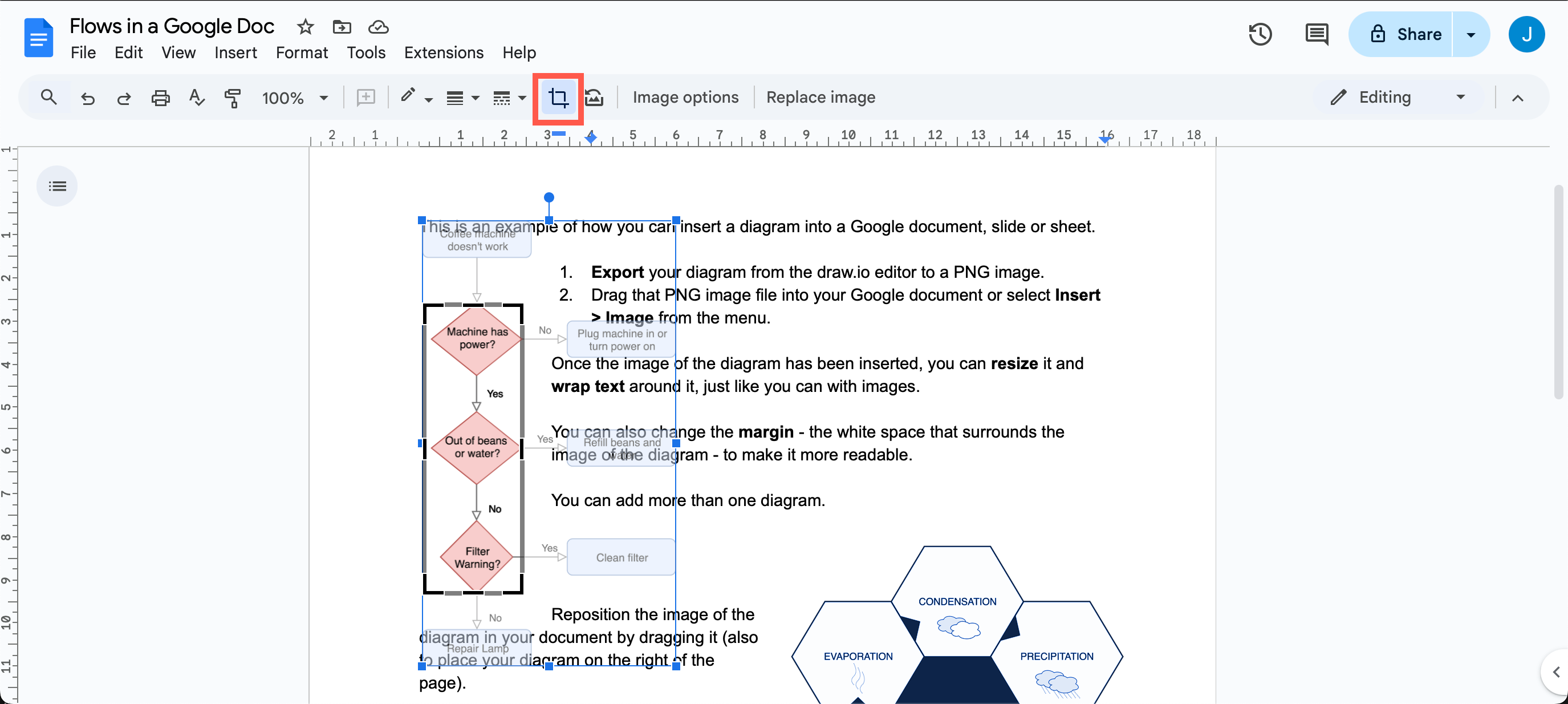 Use the crop image tool to crop your diagram in your Google Document